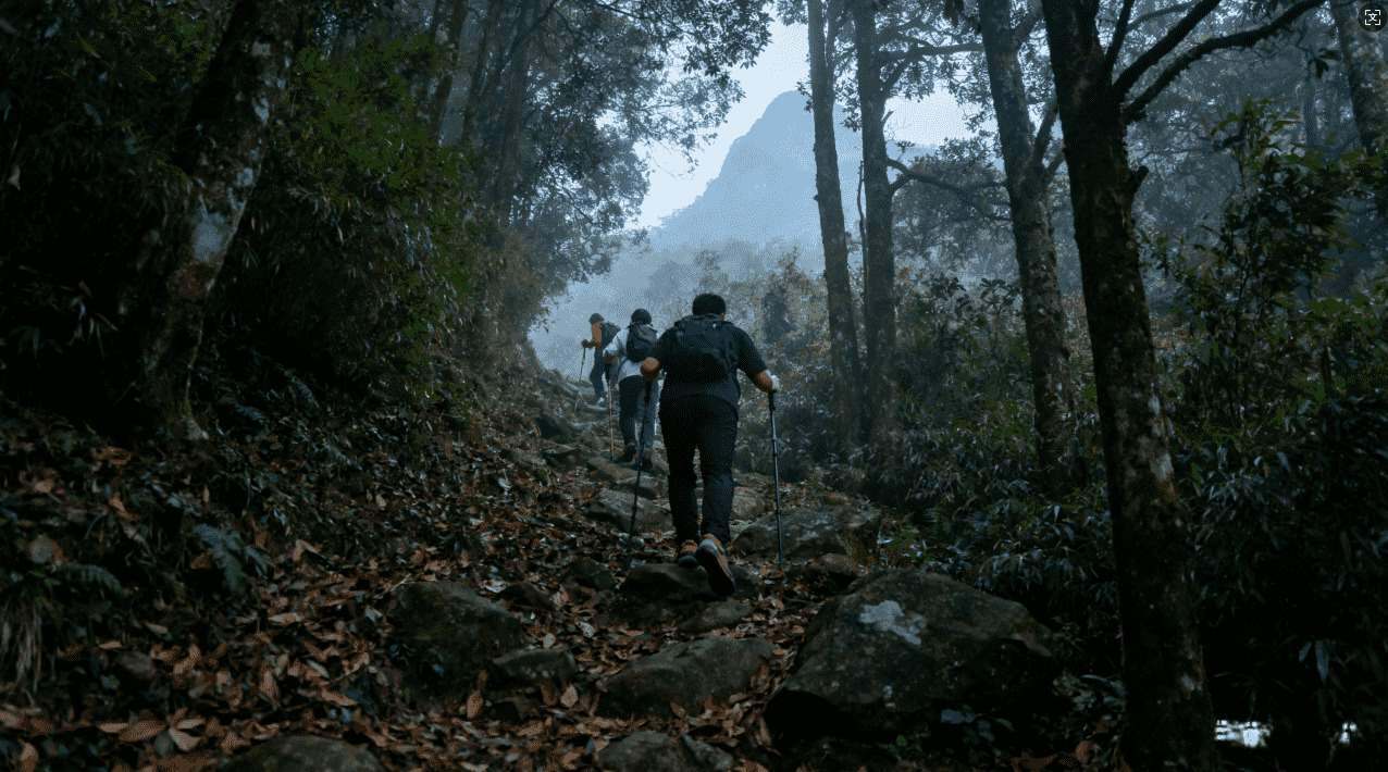 芒果VPN加速器辅助跨境访问限制内容